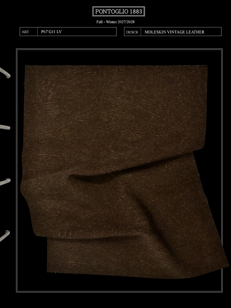 VINTAGE LEATHER - P67 G11 LV