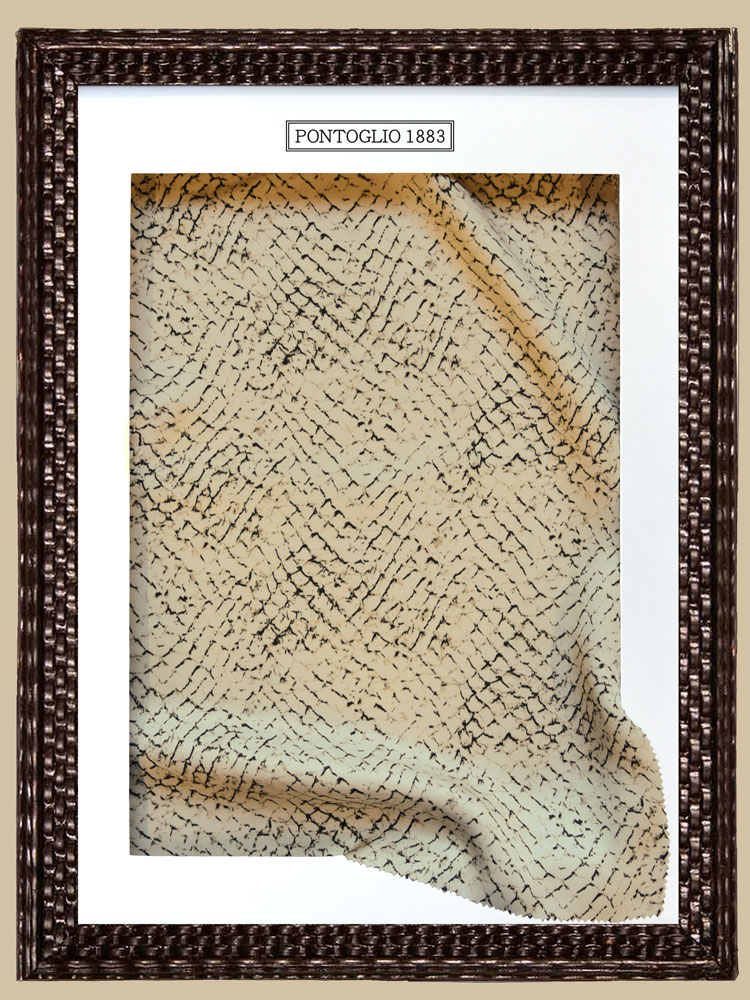 ANIMALIER - B24 HS5 YL