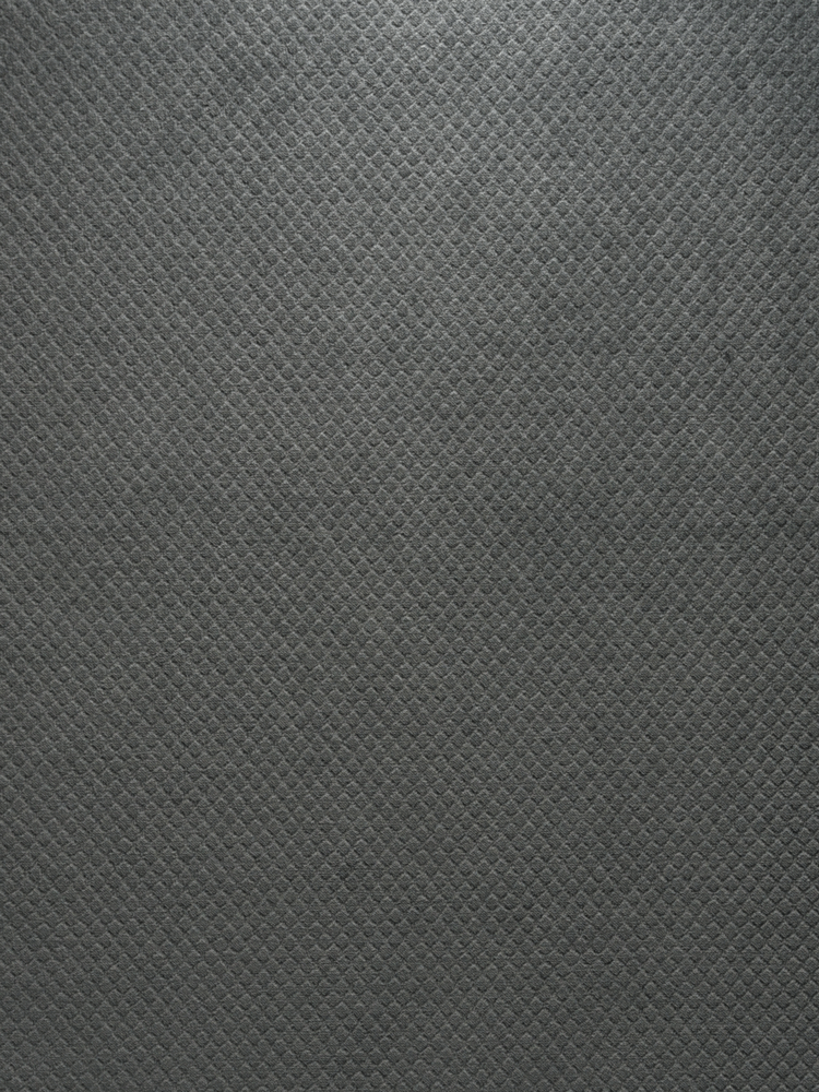 VELVET SUEDE '70 - 888 E50 LV
