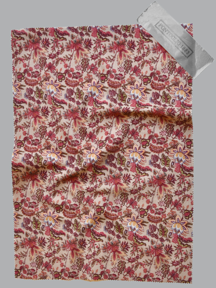 LES INDIENNES - 482 IF0 YL