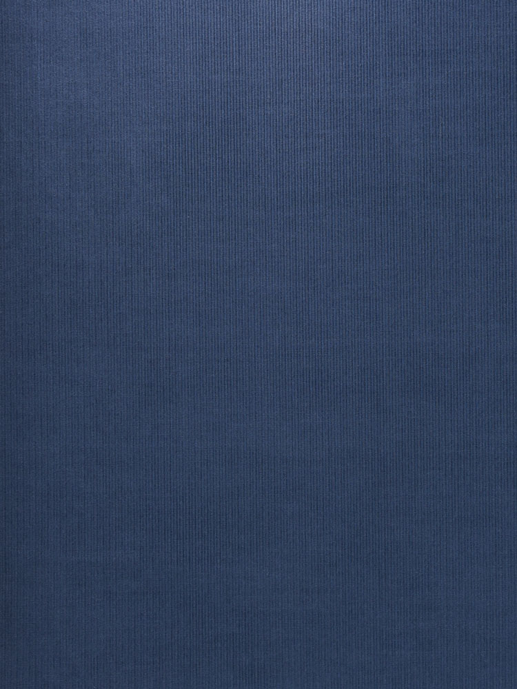 CORDUROY STRUTTURATI- 259 000 LV