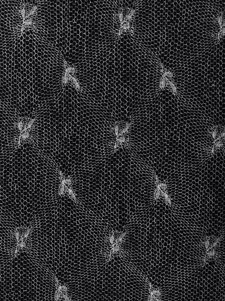 BLACK & WHITE - 709 350 LV 