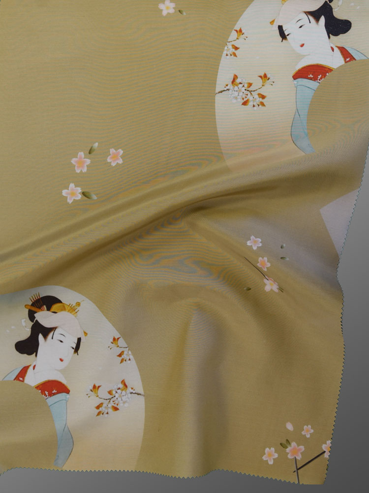 JAPAN HAWAII VINTAGE - B23 DG5 C