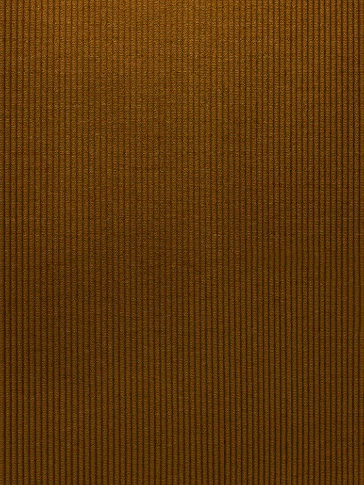 HEAVY CORDUROY - 508 000 LV