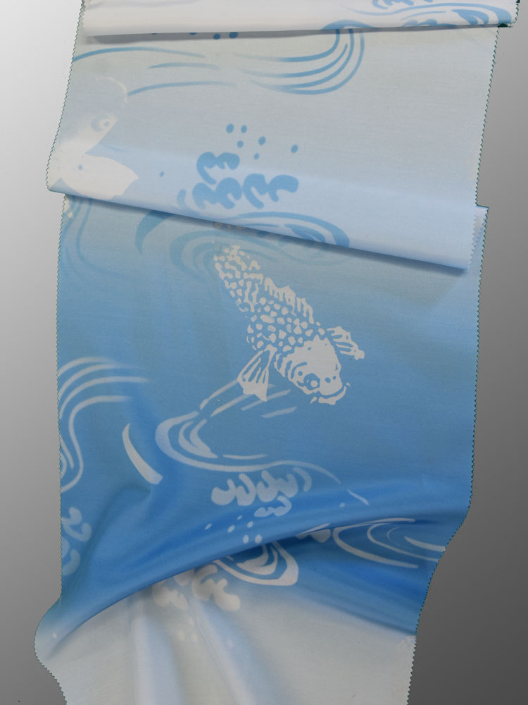 JAPAN HAWAII VINTAGE - B23 DG7 C