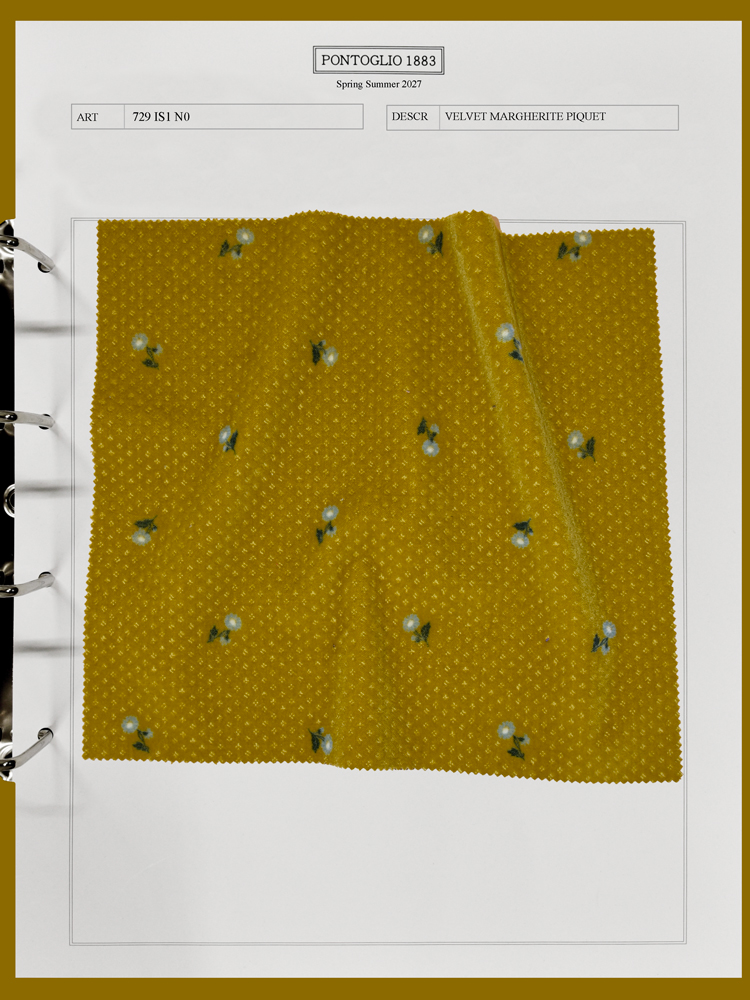 MICRO PROVENZALI - 729 IS1 N