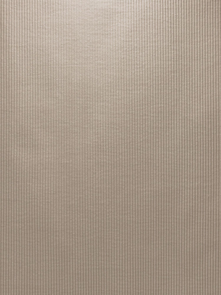 HEAVY CORDUROY - 504 000 VP