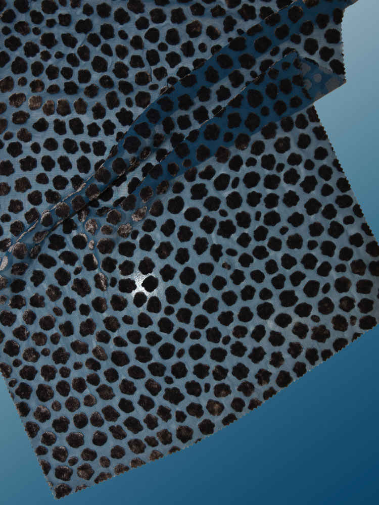 SHOT VELVET - L31 AK4 LV