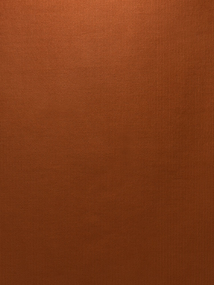 BABY CORDUROY - 328 000 LV
