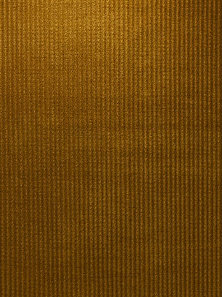 STRETCH CORDUROY - 249 000 A
