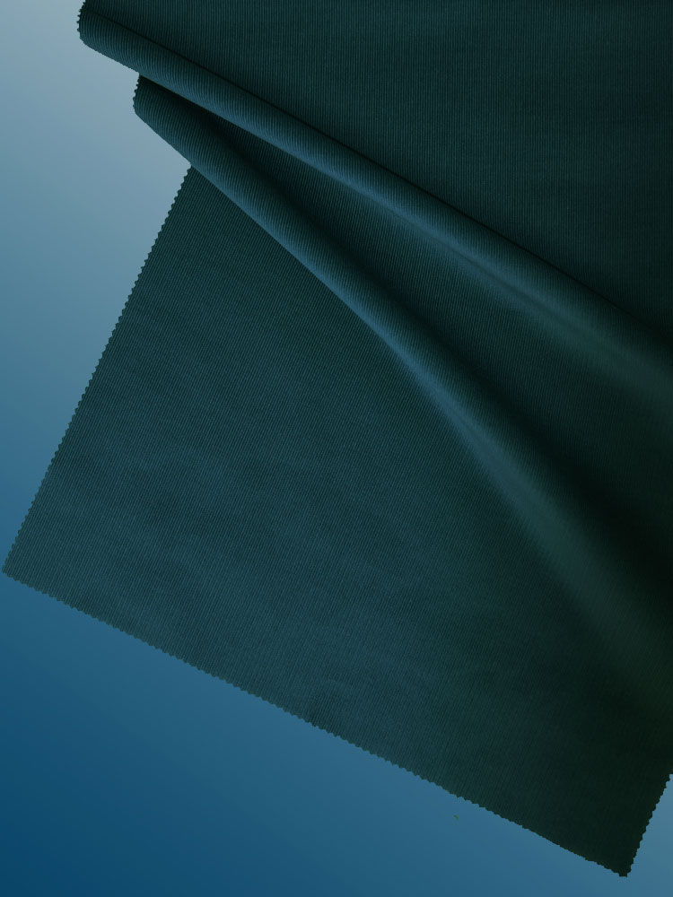 CORDUROY - 336 000 A0