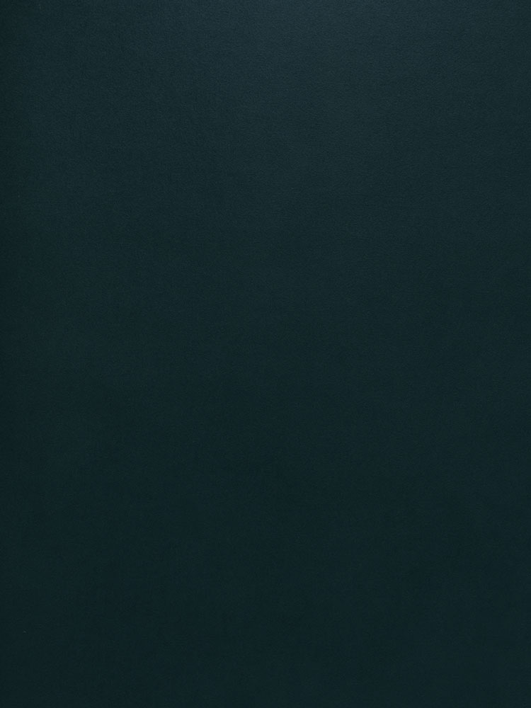 MOLESKIN - 136 000 NF 