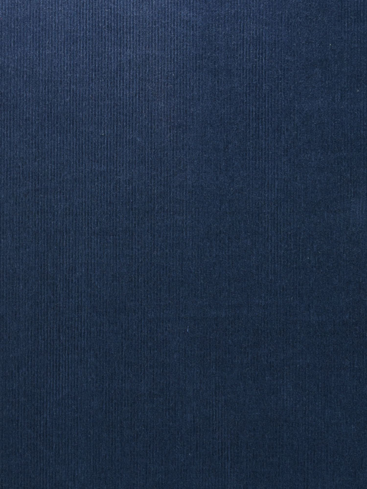 VINTAGE CORDUROY - 423 000 RV