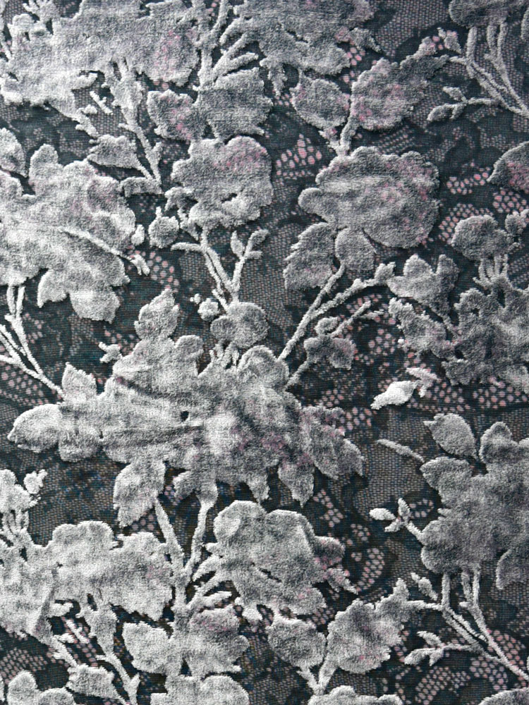 VELVET PIZZO - L31 AM7 LV