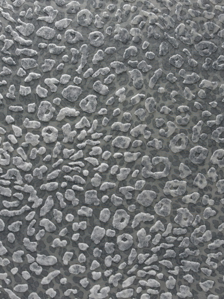 ANIMALIER WHITE - L31 AV3 LV