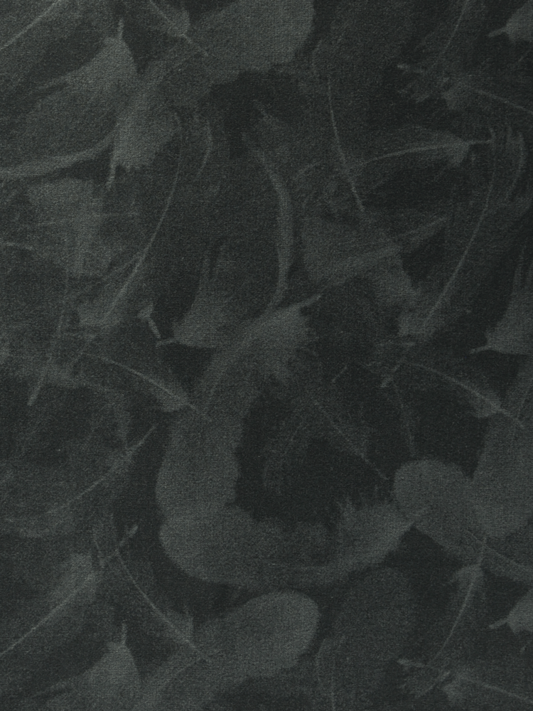 SHADOW PRINT - 888 C61 N