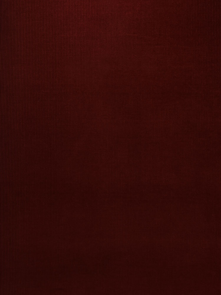 STRETCH CORDUROY - 423 000 A