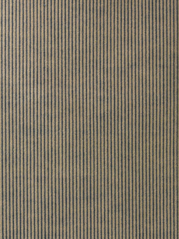 CORDUROY - 507 876 A0