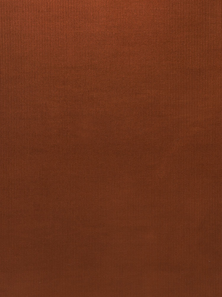 BABY CORDUROY - 482 000 A