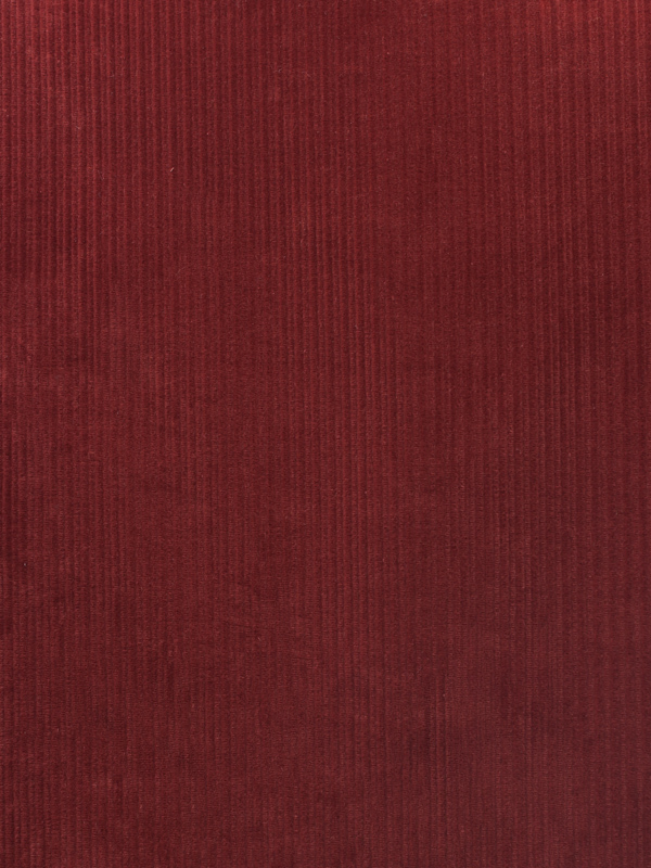 VELLUTI A COSTE FANTASIA - 261 000 A0