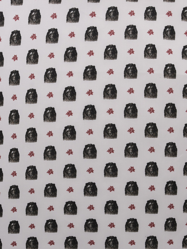 FLORA E FAUNA - P94 W80 LV