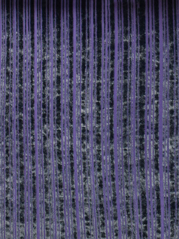 SHOT VELVET DEVORE' - L31 M81 LV