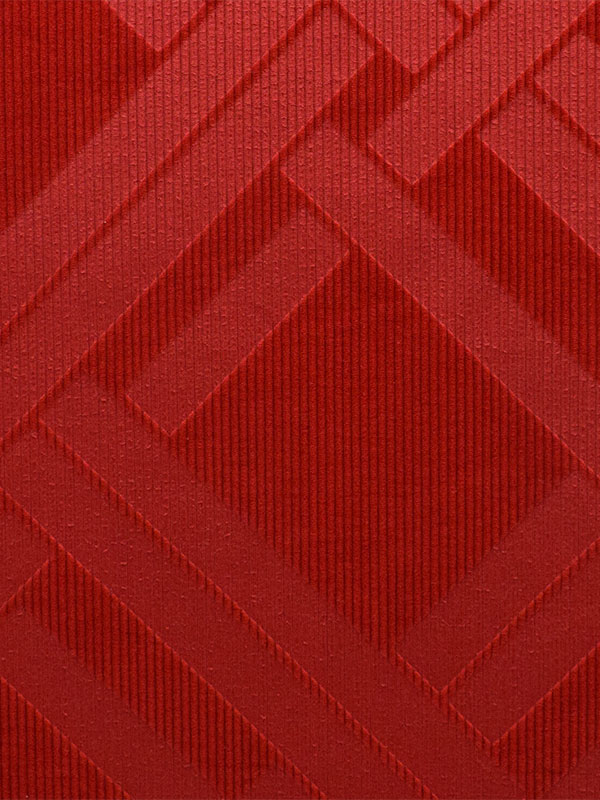 VELLUTI A COSTE GEOMETRICI - 504 T05 HL