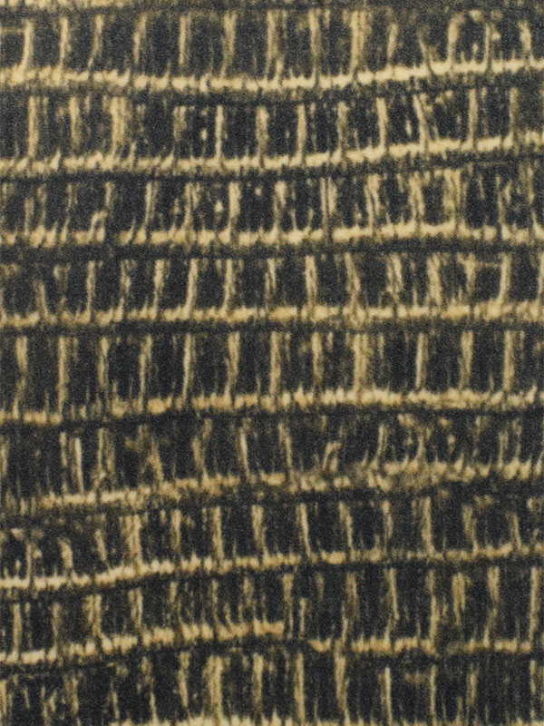 VELLUTI ANIMALIER - 700 G84 H