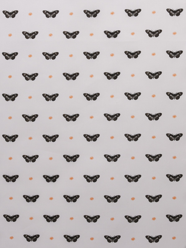 FLORA E FAUNA - P94 W77 LV