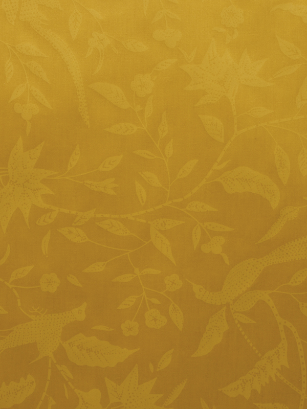CAMICERIA MAT COLOR - P55 G14 CA