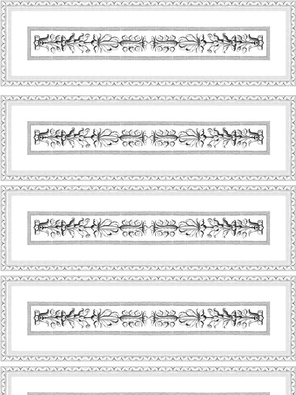 ORNAMENTO - P77 Z76 HC