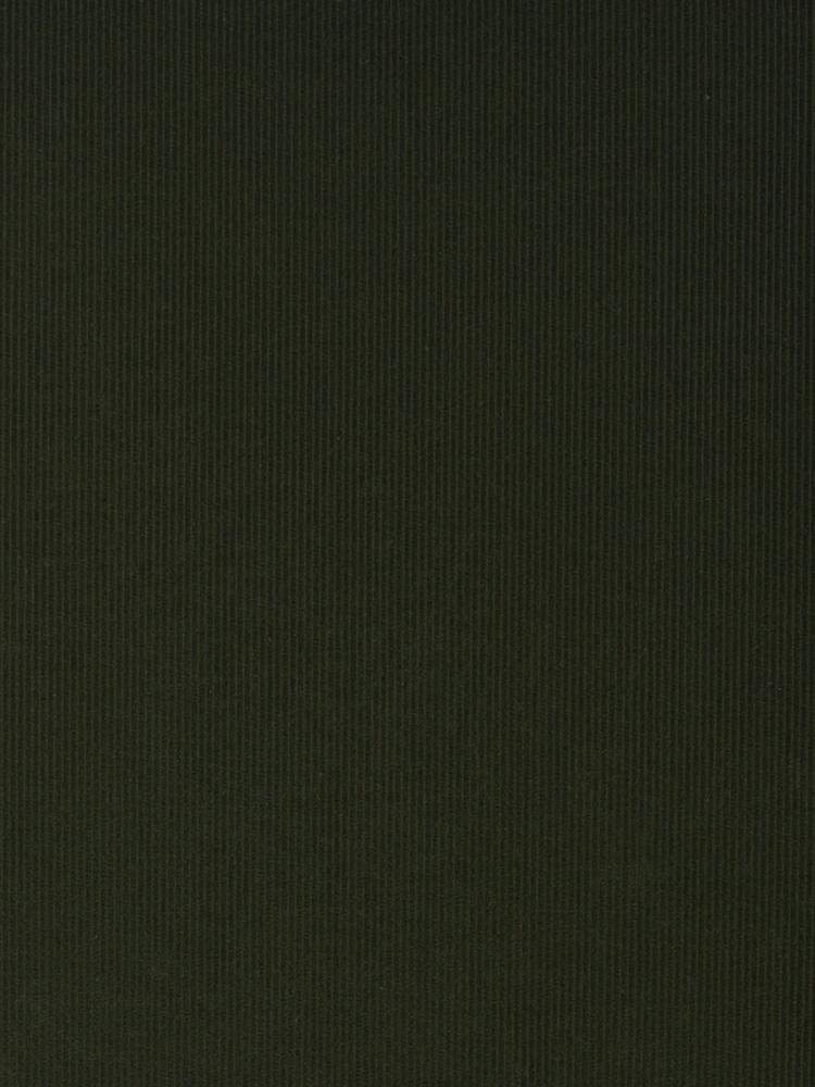 SOFT CORDUROY - 243 000 AP