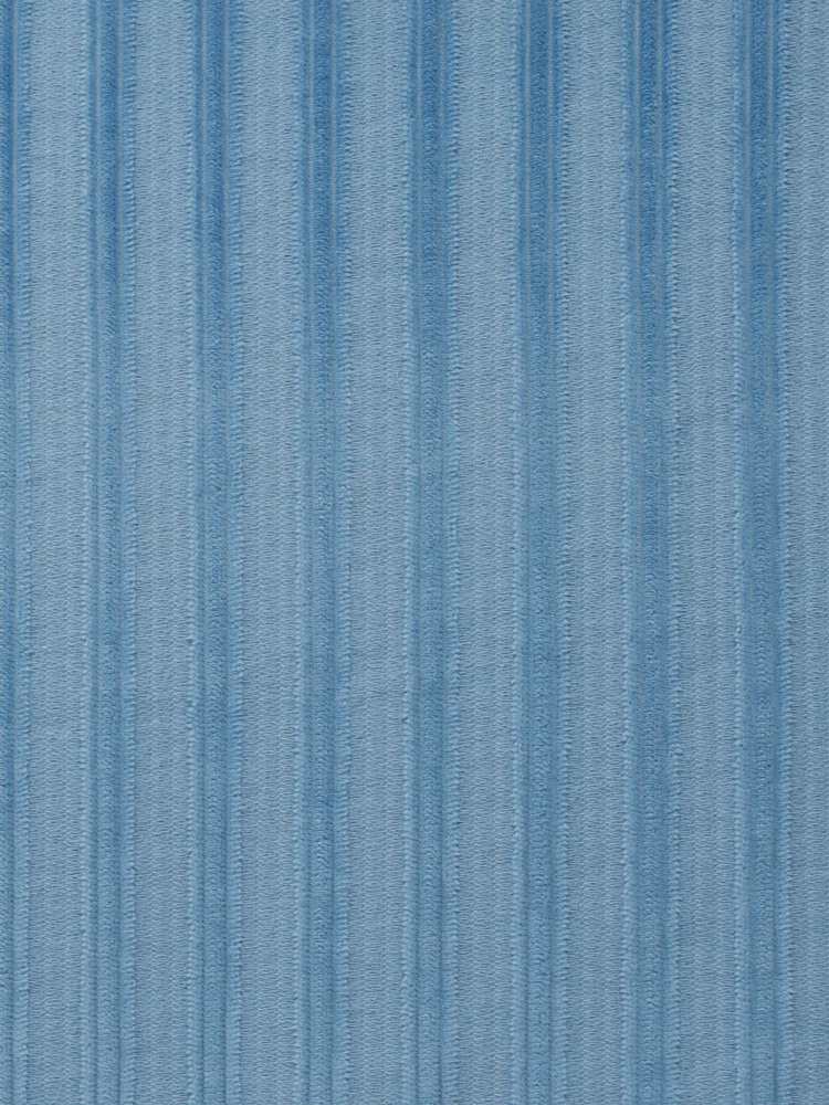 FANCY CORDUROY - 269 000 LV