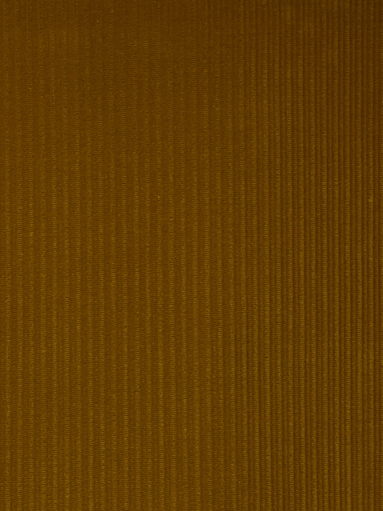 FRENCH CORDUROY - 501 000 A0