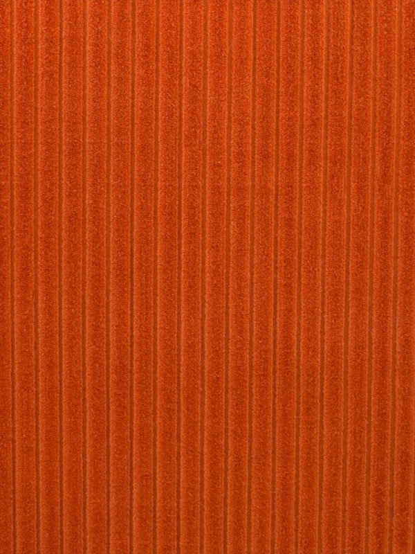 CORDUROY - 800 000 H