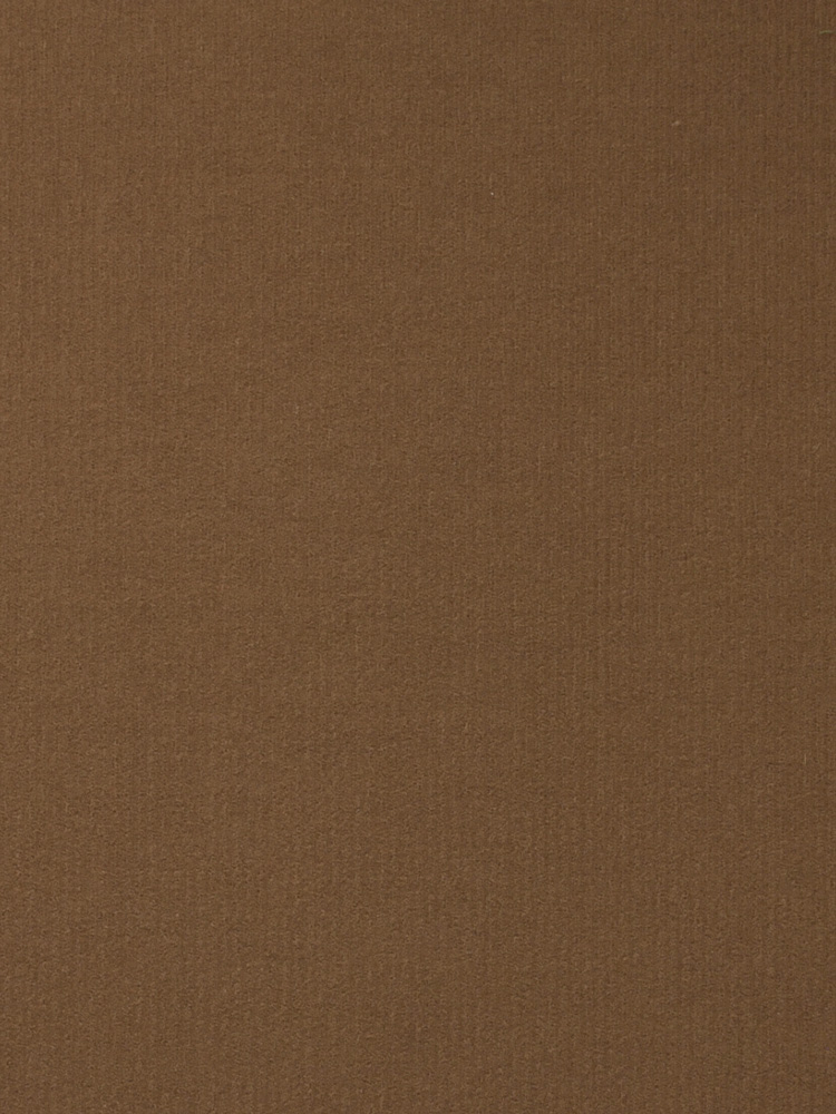 PRECIOUS CORD & VELVET - 246 000 A0