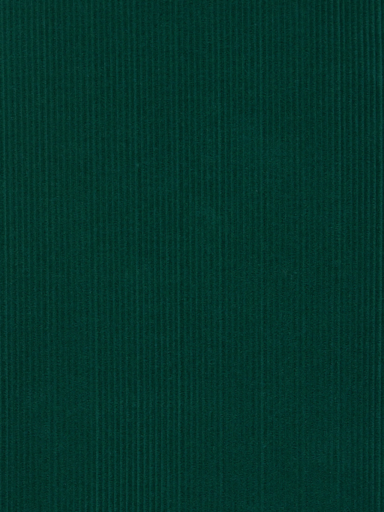 FRENCH CORDUROY - 262 000 A0