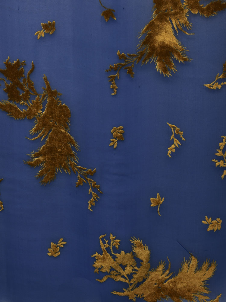 SHOT DEVORE' - L31 X97 LV 