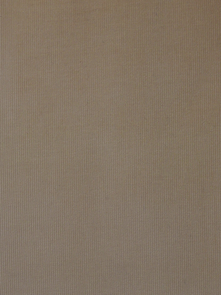 VINTAGE CORD & VELVET - 423 000 RV