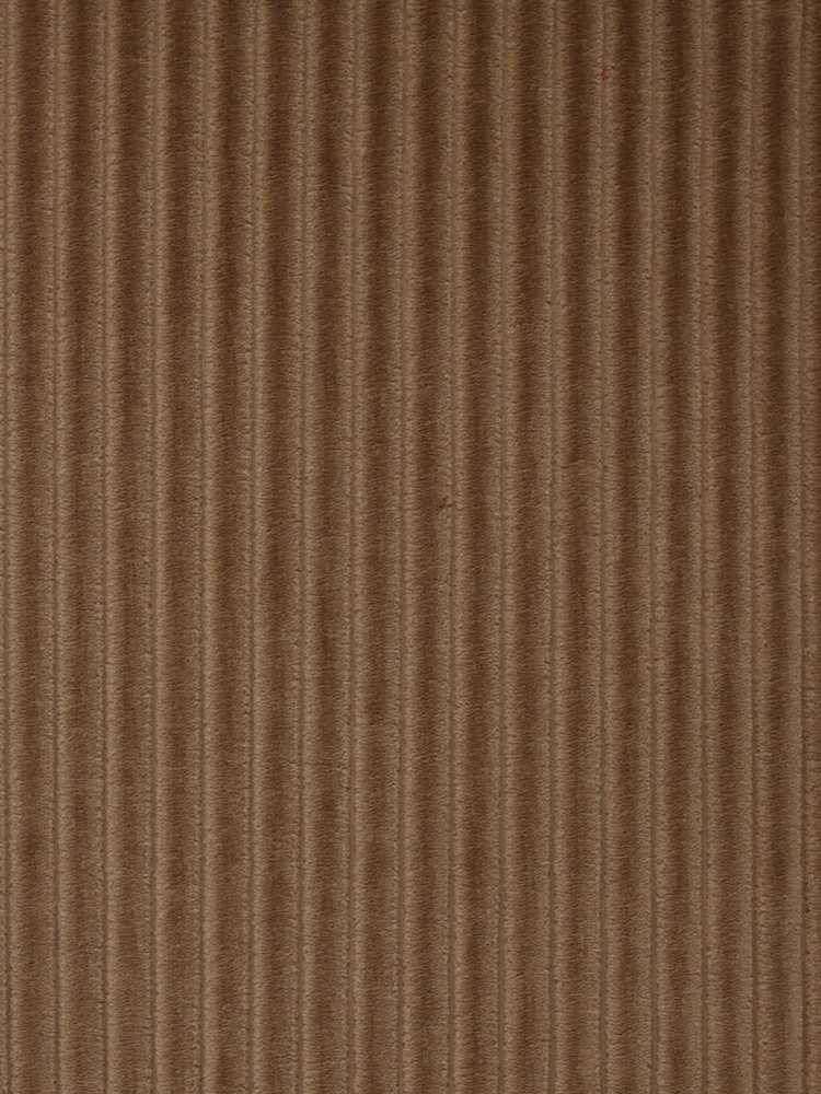 FRENCH CORDUROY - 800 000 N0