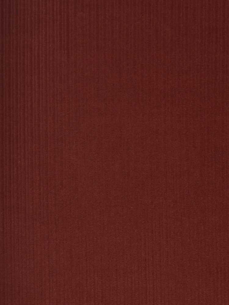 FRENCH CORDUROY - 261 000 A0V
