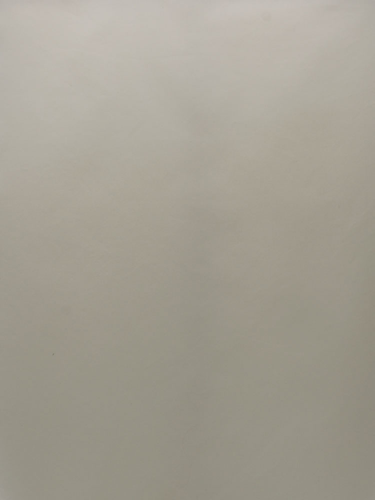 COTONI SETA - 193 000 LA